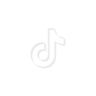 TikTok Logo